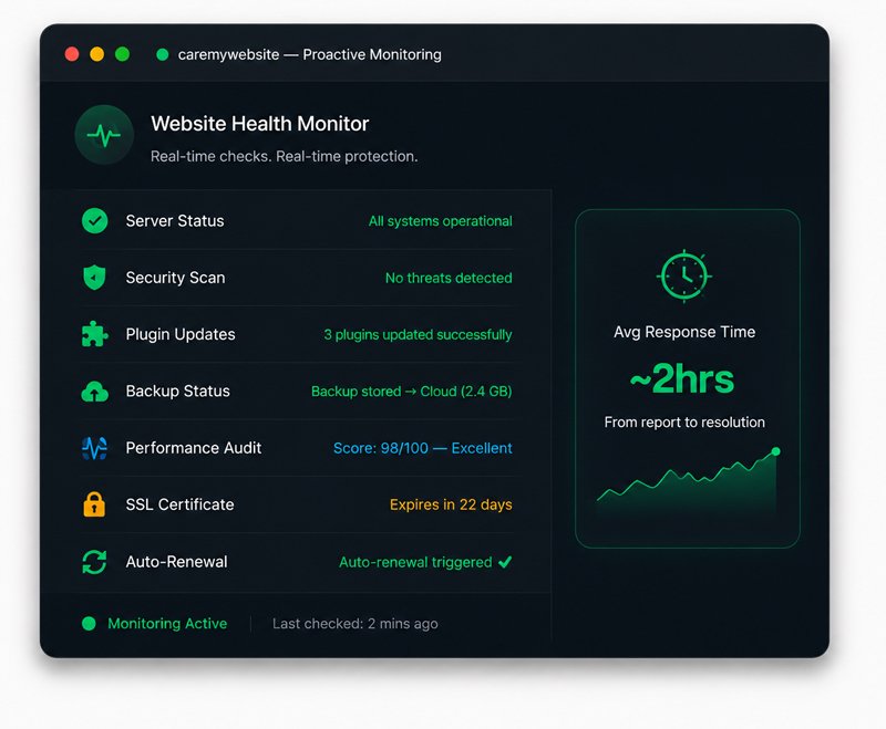 More Than Just Website Maintenance